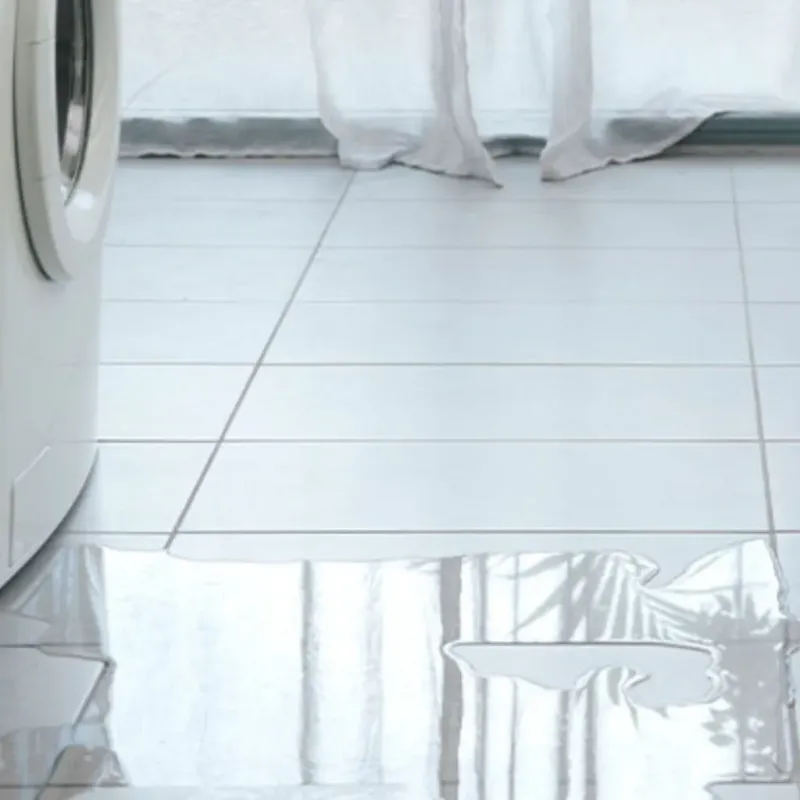 Appliance Leak Cleanup in Logan County, WV