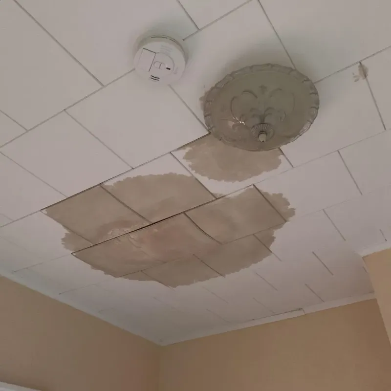Ceiling Water Damage Repair in Logan County, WV