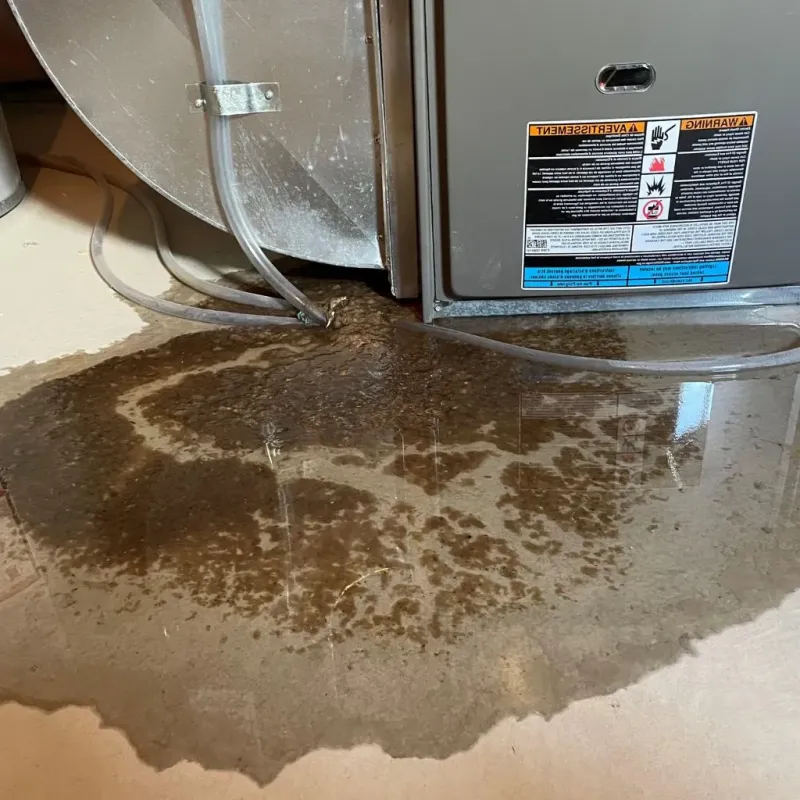 Pipe Burst and Leak Restoration in Logan County, WV