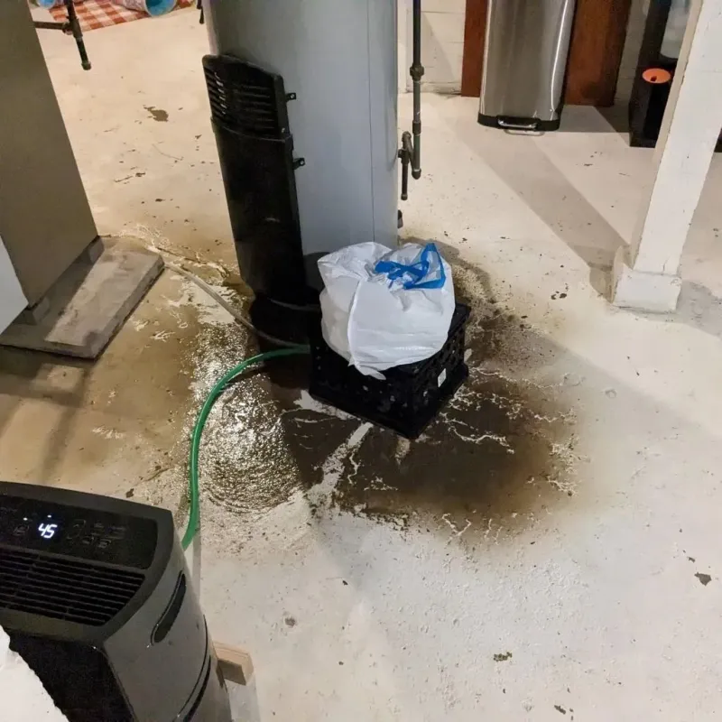 Sewage Backup Cleanup Service in Logan County, WV